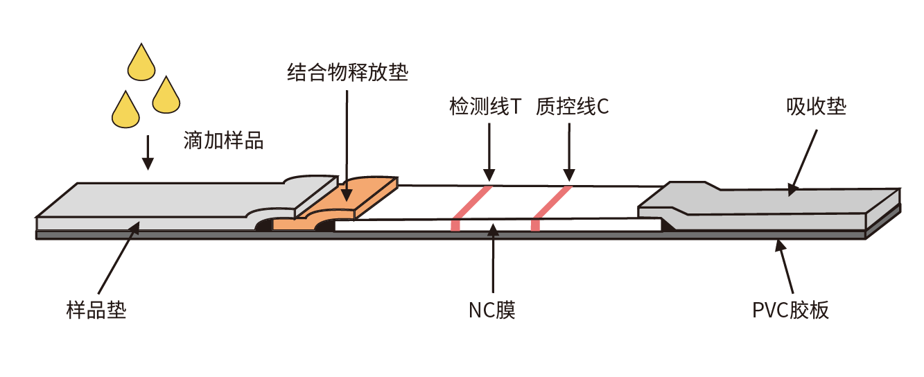 1649864730435039lBEc.png 图片4.png